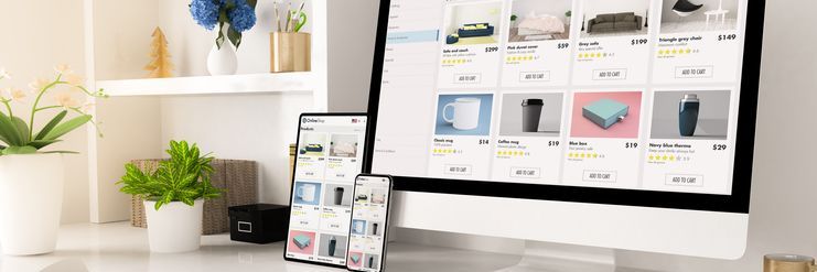 tener tu propia página web con ecommerce