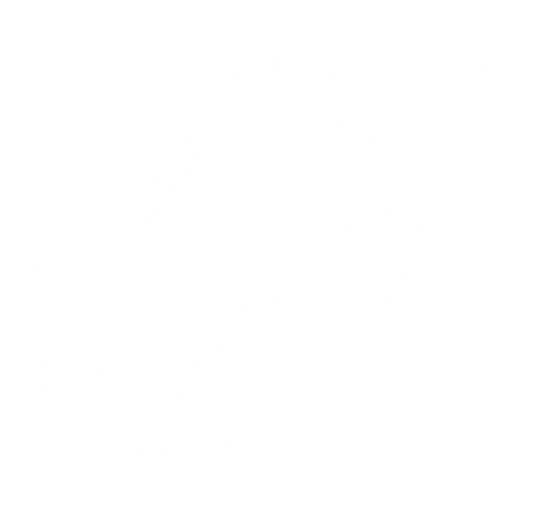 20220615_frame-2-icono-02